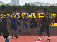 兹拉VS多瑙斯特雷达