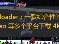 4K Video Downloader：一款综合性的下载器，支持从 YouTube、Vimeo 等多个平台下载 4K 和 8K 视频。