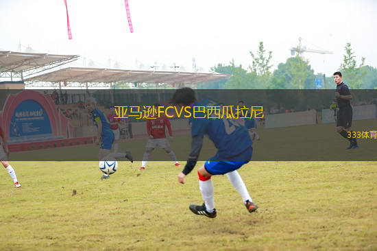 亚马逊FCVS巴西瓜拉尼