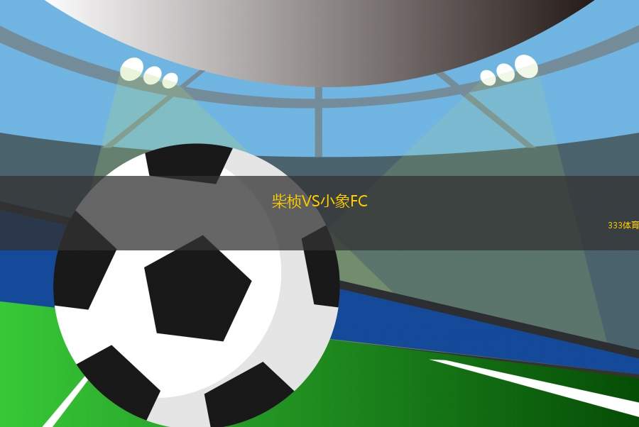 柴桢VS小象FC