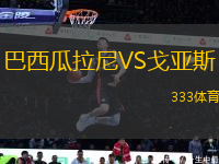 巴西瓜拉尼VS戈亚斯