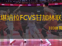 堪培拉FCVS甘加林联