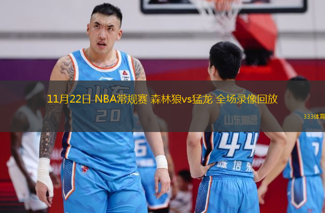 11月22日 NBA常规赛 森林狼vs猛龙 全场录像回放