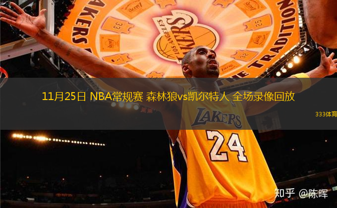 11月25日 NBA常规赛 森林狼vs凯尔特人 全场录像回放