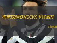 梅莱茨钢铁VSGKS卡托威斯