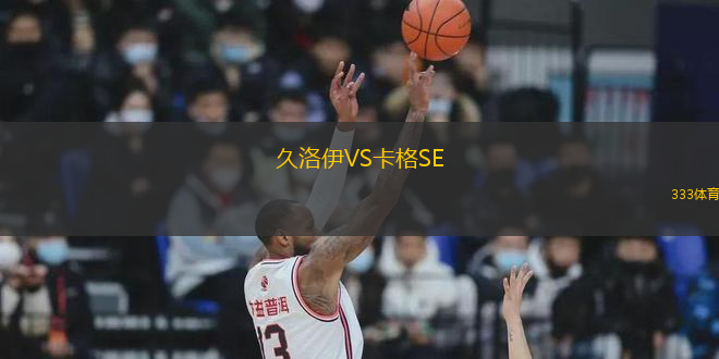 久洛伊VS卡格SE