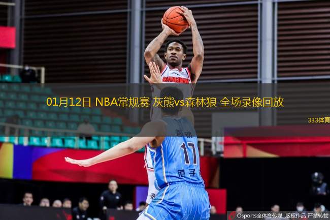 01月12日 NBA常规赛 灰熊vs森林狼 全场录像回放