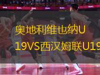 奥地利维也纳U19VS西汉姆联U19