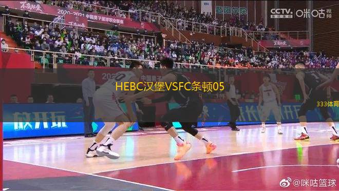 HEBC汉堡VSFC条顿05