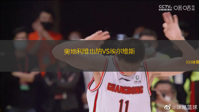 奥地利维也纳VS埃尔维斯