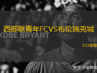 西部联青年FCVS布伦瑞克城