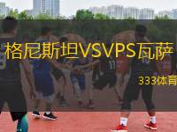 格尼斯坦VSVPS瓦萨