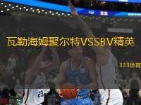 瓦勒海姆聚尔特VSSBV精英