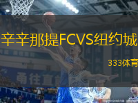 辛辛那提FCVS纽约城