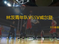 林茨青年队VSSV威尔登