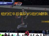 纽约红牛后备队VS纽约城B队