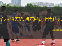 克拉科夫VS特尔纳瓦斯巴达克