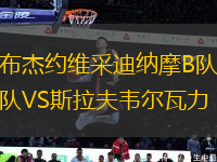 布杰约维采迪纳摩B队VS斯拉夫韦尔瓦力