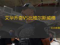 艾华乔奇VS比格尔斯威德