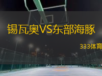 锡瓦奥VS东部海豚