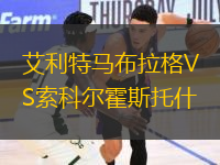 艾利特马布拉格VS索科尔霍斯托什