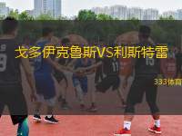 戈多伊克鲁斯VS利斯特雷