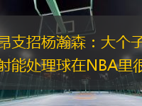 马里昂支招杨瀚森：大个子球员会投射能处理球在NBA里很重要