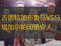 吉诺特加布鲁马VS马塔加尔帕印第安人