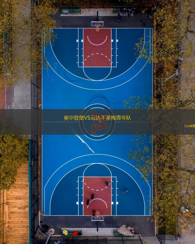 奥尔登堡VS云达不莱梅青年队