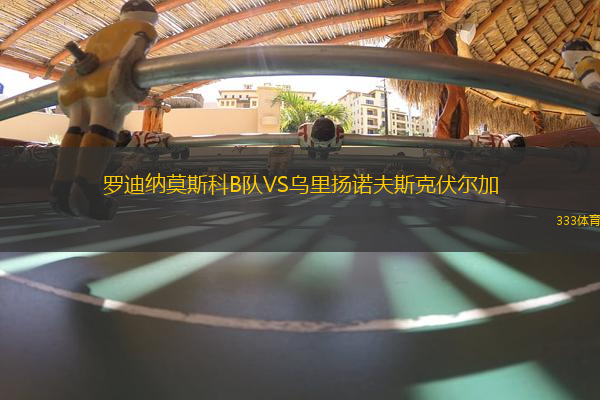 罗迪纳莫斯科B队VS乌里扬诺夫斯克伏尔加