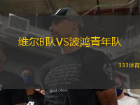 维尔B队VS波鸿青年队