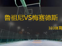 鲁祖尼VS梅赛德斯