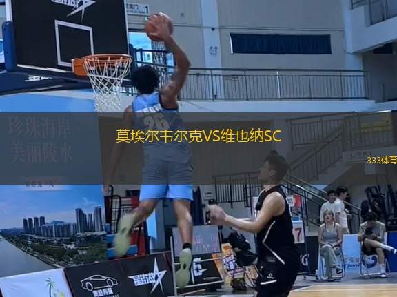 莫埃尔韦尔克VS维也纳SC