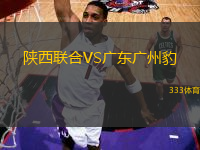 陕西联合VS广东广州豹