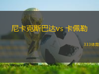 尼卡克斯巴达vs 卡佩勒(荷兰杯)