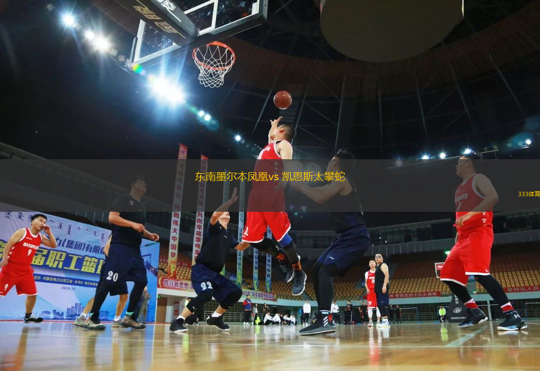 东南墨尔本凤凰vs 凯恩斯太攀蛇(NBL)