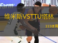 维米斯VSTTU塔林