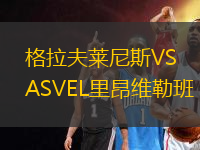 格拉夫莱尼斯VSASVEL里昂维勒班