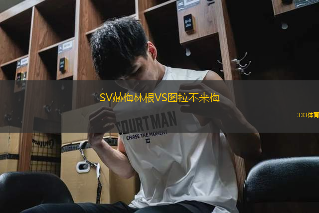 SV赫梅林根VS图拉不来梅