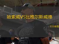 哈索威VS比格尔斯威德