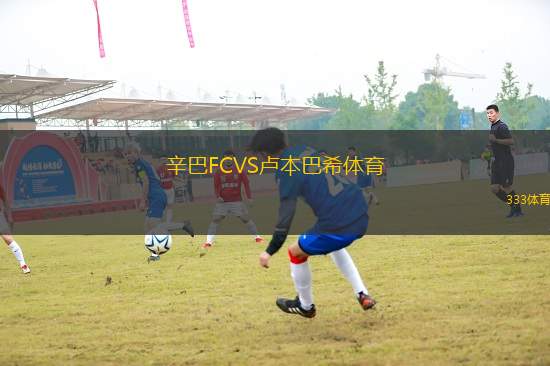 辛巴FCVS卢本巴希体育