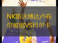 NK斯沃博达卢布尔雅那VS科尔卡