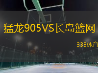 猛龙905VS长岛篮网