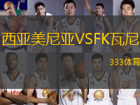 西亚美尼亚VSFK瓦尼