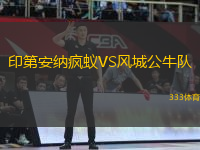 印第安纳疯蚁VS风城公牛队