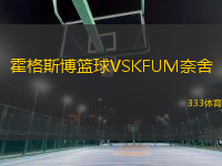 霍格斯博篮球VSKFUM奈舍