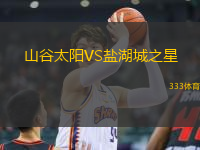 山谷太阳VS盐湖城之星