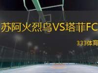 苏阿火烈鸟VS塔菲FC