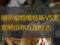 德尔福特维特斯VS索纳贝尔瓦加杜古