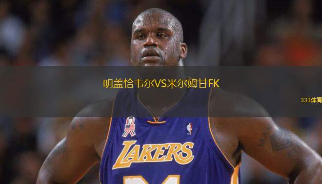 明盖恰韦尔VS米尔姆甘FK